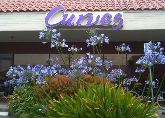 Curves | 12740 Culver Blvd, Los Angeles, CA 90066, USA | Phone: (310) 301-6733