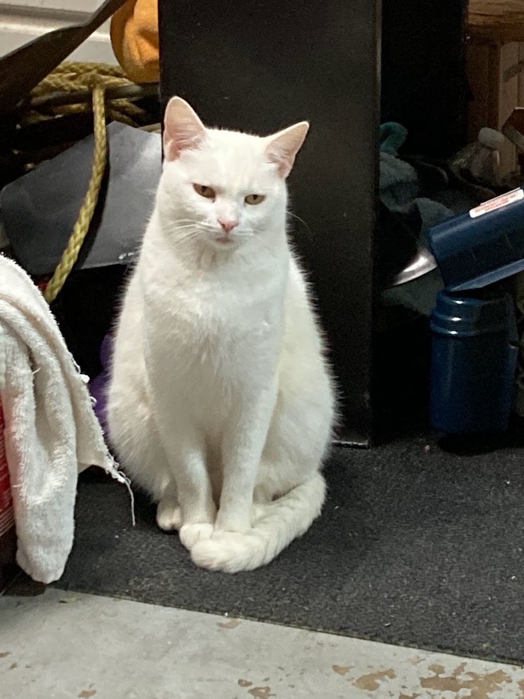 L | 120 Bridgewater Dr, Canton, GA 30115, USA | Phone: 885-4584