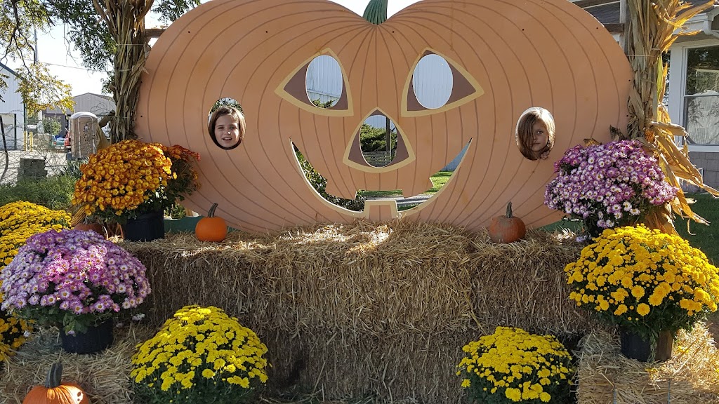 Grobe Fruit Farm Ltd | 43875 Telegraph Rd, Elyria, OH 44035, USA | Phone: (440) 322-8312