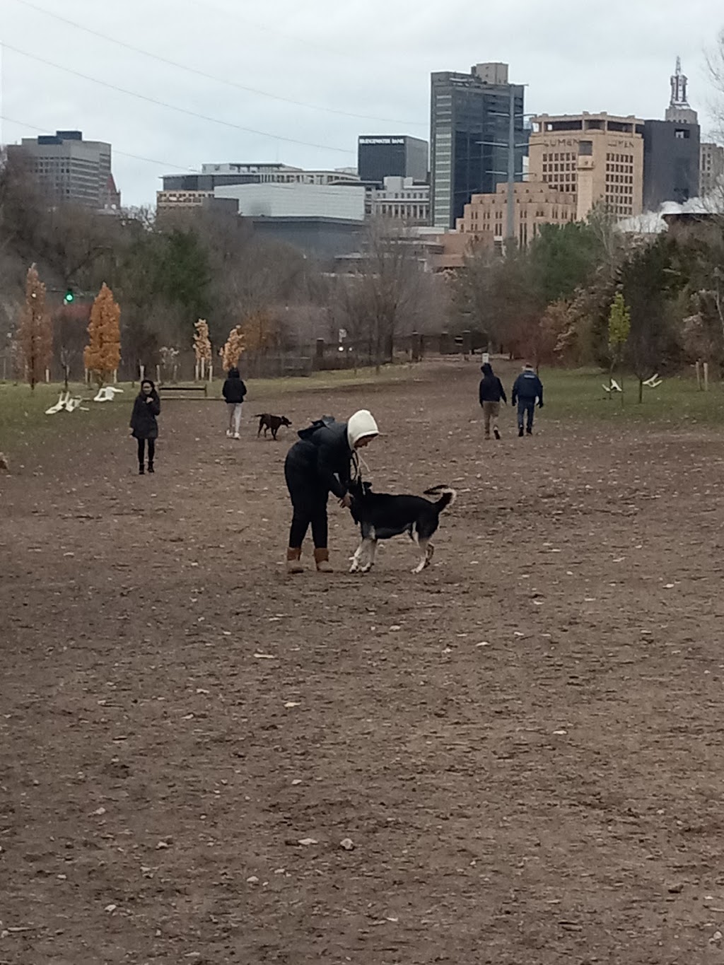 High Bridge Dog Park | 59 Randolph Ave, St Paul, MN 55102, USA | Phone: (651) 266-6400