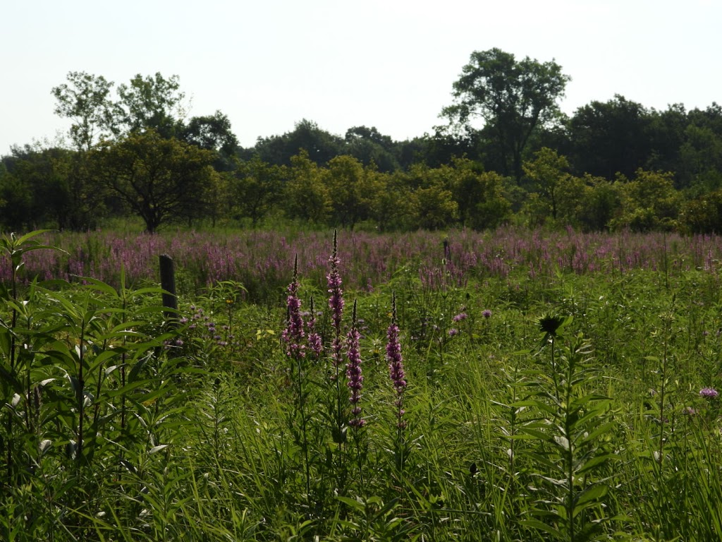 Lake County Forest Preserve | 1215 S Green Bay Rd, North Chicago, IL 60064, USA | Phone: (847) 968-3477