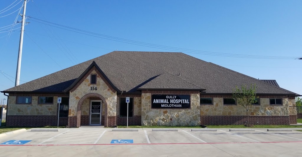 Gully Animal Hospital of Midlothian | 114 Roundabout Dr, Midlothian, TX 76065, USA | Phone: (469) 612-5130