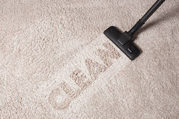 Isabellas Carpet & Upholstery Care | 3943 Demery Dr W, Jacksonville, FL 32250, USA | Phone: (904) 994-8827
