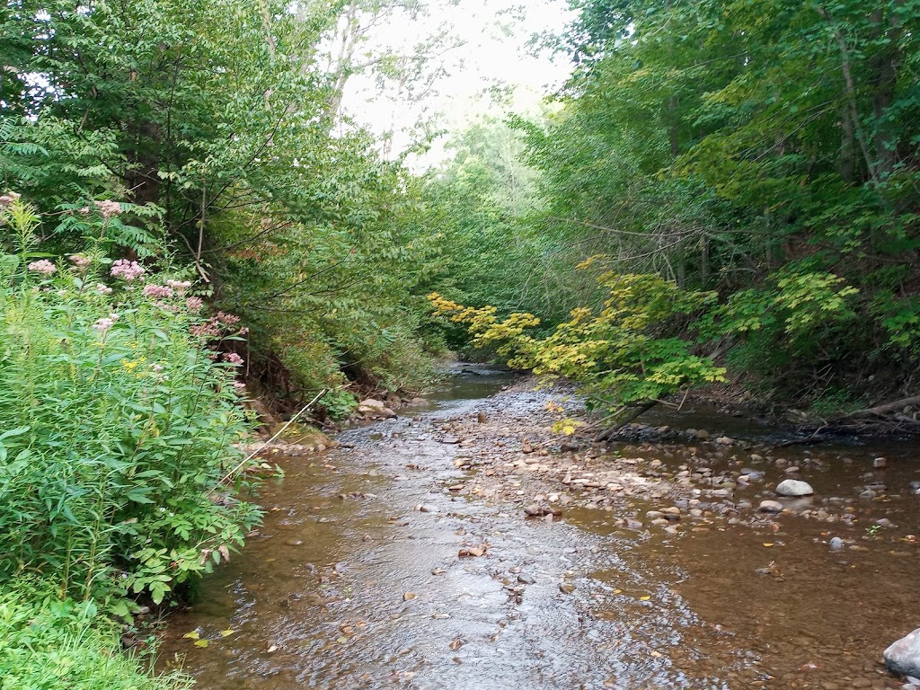 Arrowhead Camping Area | 10487 NY-16, Delevan, NY 14042, USA | Phone: (716) 492-3715