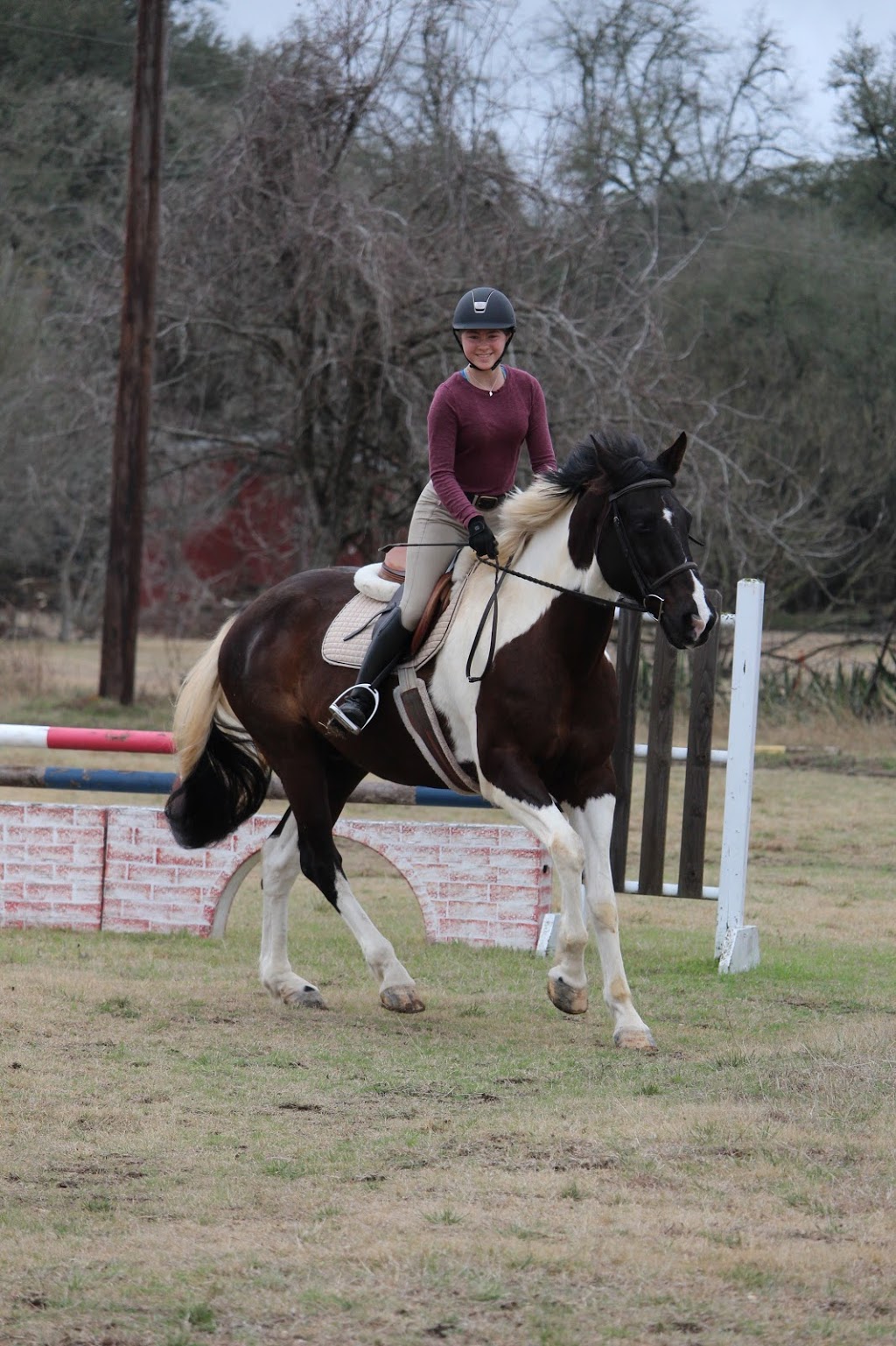 Bel Canto Farms | 4205 Lone Man Mountain Rd, Wimberley, TX 78676, USA | Phone: (512) 797-1178