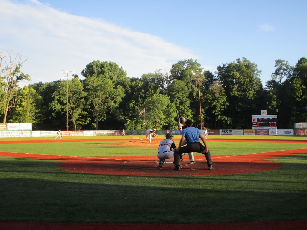 Amsterdam Mohawks | 65 Crescent Ave, Amsterdam, NY 12010, USA | Phone: (518) 791-7546