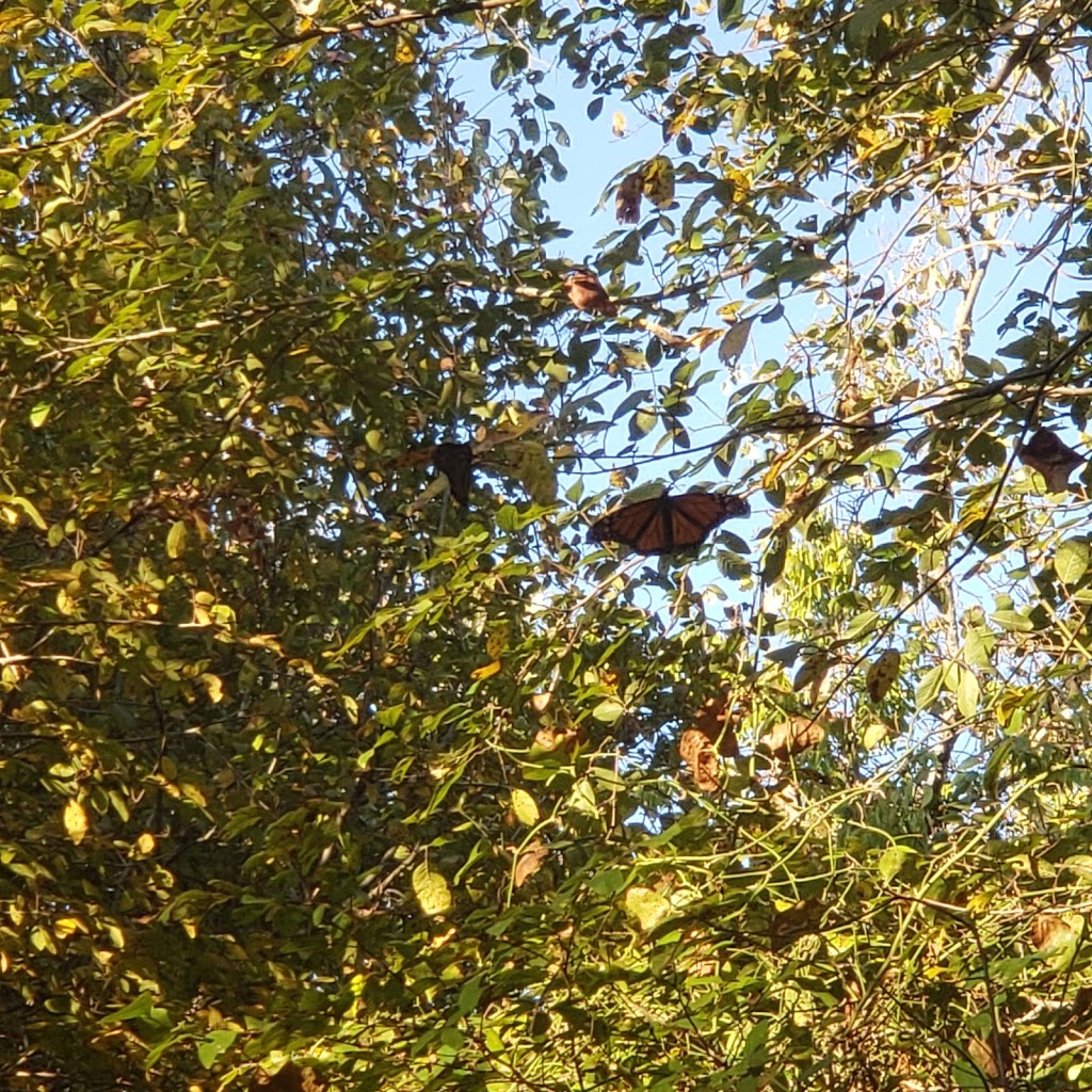 Northeast Metro Park Walk/Bike Trail | unnamed, Pflugerville, TX 78660, USA | Phone: (512) 854-7275