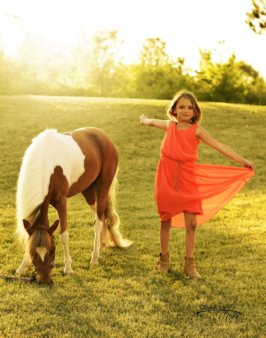 Stable Way Miniature Horse Farm | Armstrong Rd, South Rockwood, MI 48179, USA | Phone: (734) 931-6004