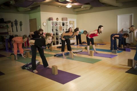 Three Trees Yoga | 204 S 348th St #2, Federal Way, WA 98003, USA | Phone: (253) 815-9642