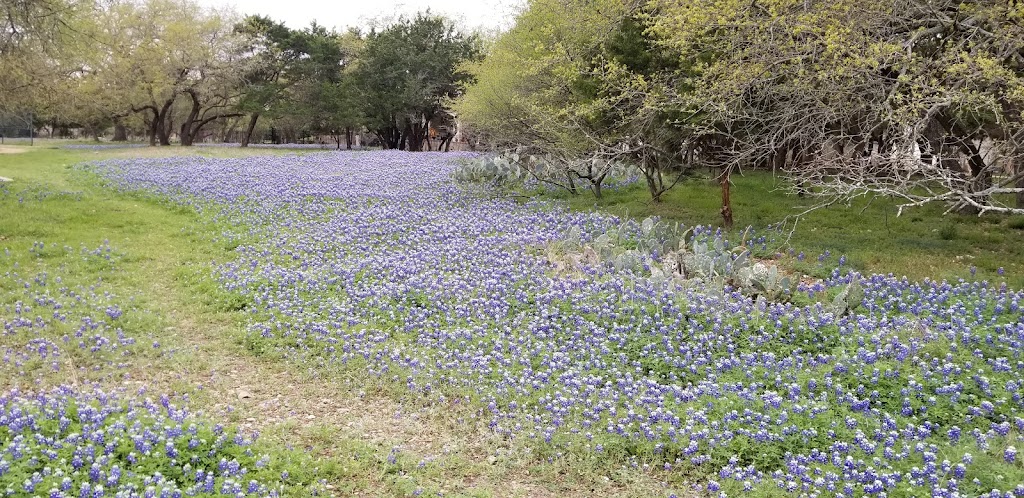 Berry Creek Park | 1100 Shinnecock Hills Dr, Georgetown, TX 78628, USA | Phone: (512) 930-3595