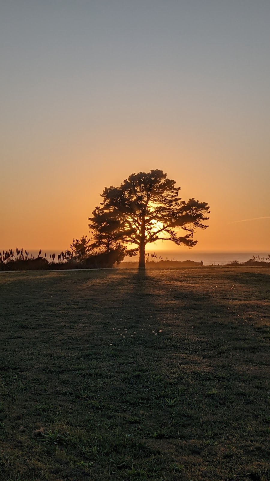 Seascape County Park | Sumner Ave, Aptos, CA 95003, USA | Phone: (831) 454-7938