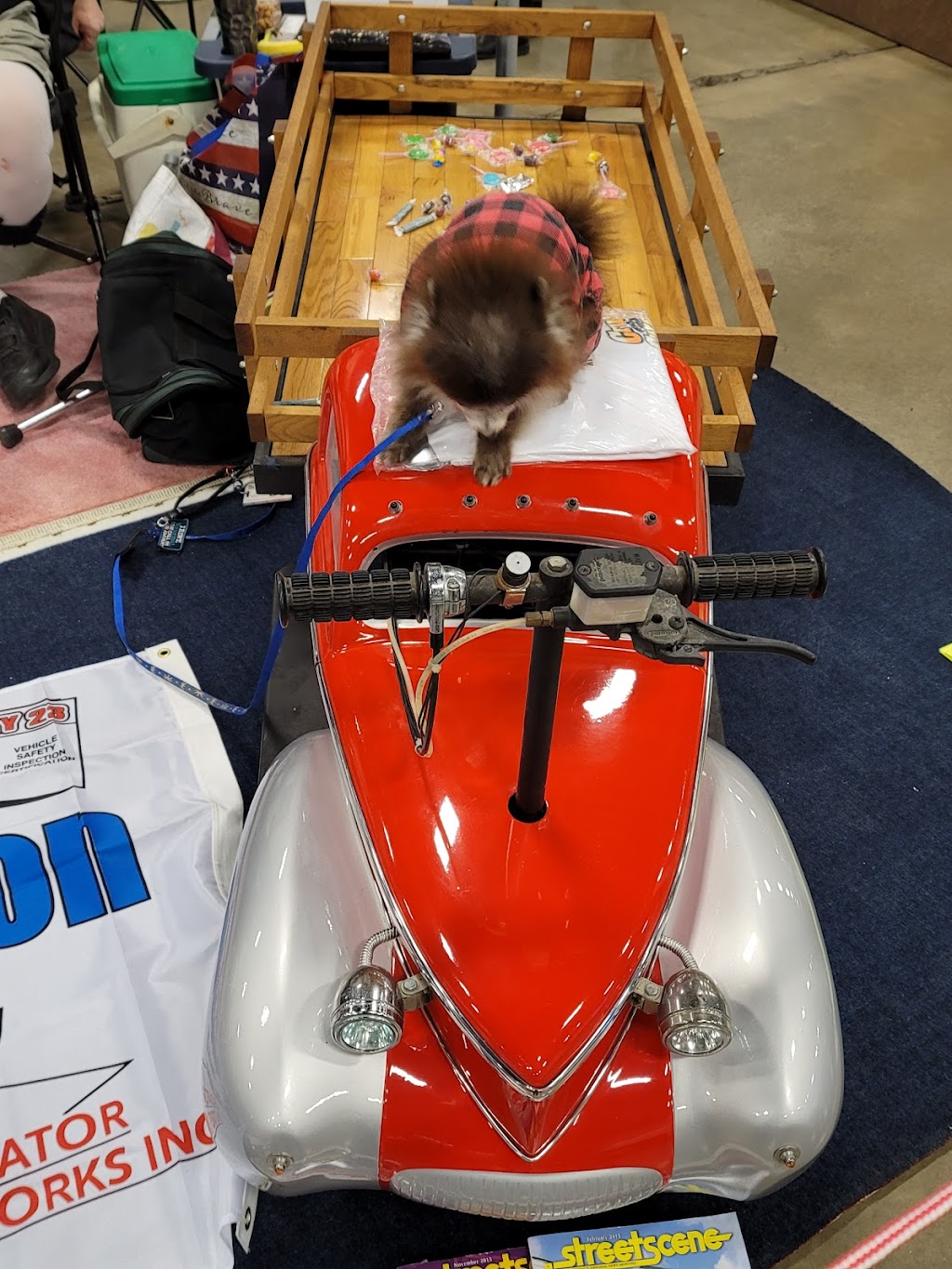 Forestville Animal Hospital | 27 Main St, Forestville, NY 14062, USA | Phone: (716) 965-1021