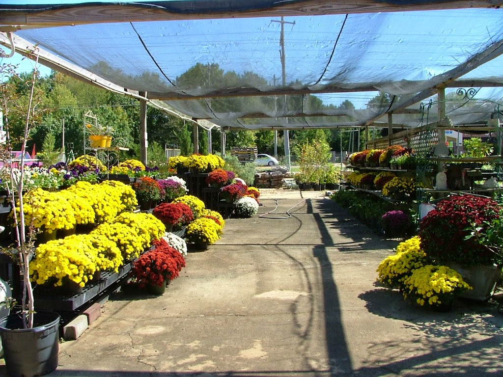 Giarolis Nursery & Landscaping | 6000 Summer Ave, Memphis, TN 38134, USA | Phone: (901) 382-5402