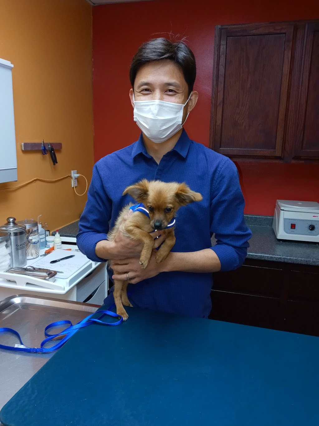 Vine Animal Clinic | 531 E Vine Ave, West Covina, CA 91790, USA | Phone: (626) 962-3436