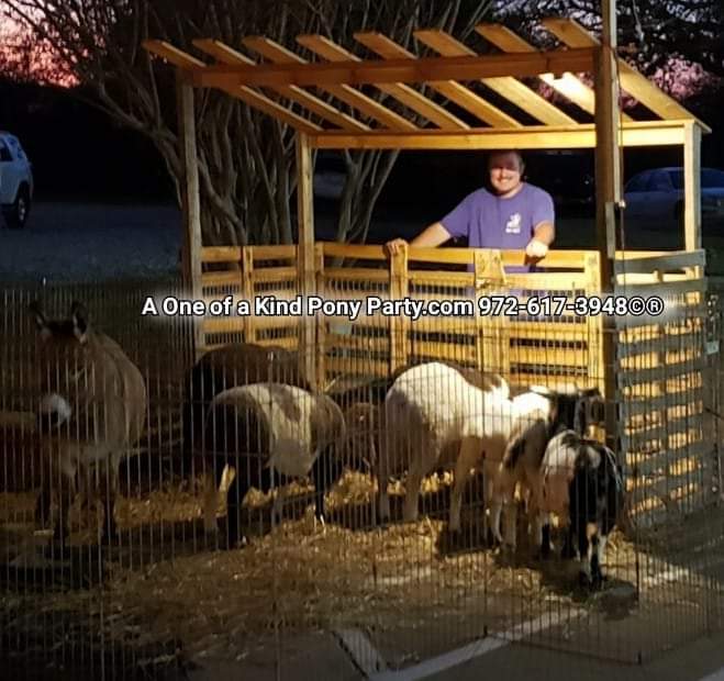 A One of a Kind Petting Zoo | 416 Pritchett Rd, Red Oak, TX 75154, USA | Phone: (972) 617-3948