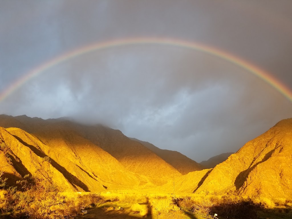 Anza-Borrego State Park Campground | 200 Palm Canyon Dr, Borrego Springs, CA 92004, USA | Phone: (760) 767-4037