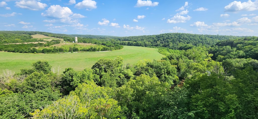 Robinson Bluff Climbing Area | 11050 Bo Hollow Rd, Cadet, MO 63630, USA | Phone: (314) 258-0250