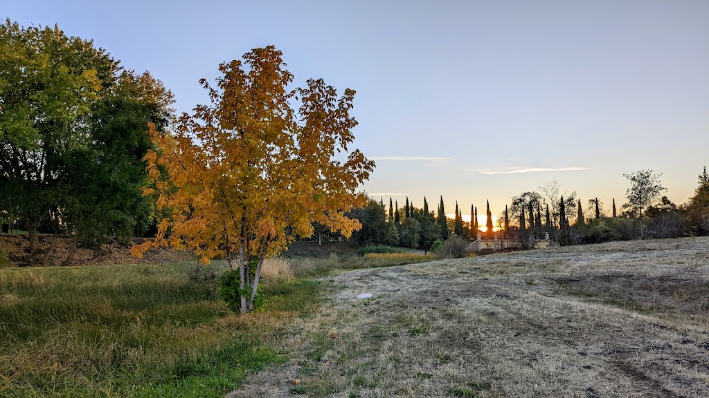 Bethany Village Park | 570 S Escuela Dr, Mountain House, CA 95391, USA | Phone: (209) 831-2300
