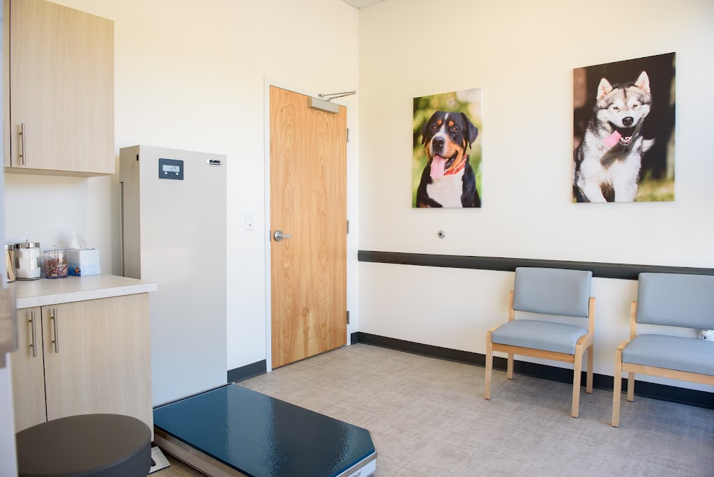 UrgentVet Pet Clinic - Fort Mill | 870 Gold Hill Rd #102, Fort Mill, SC 29708, USA | Phone: (803) 486-2550