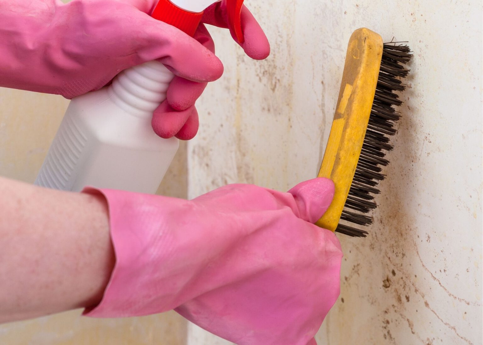 Mold Experts of Utah | 350 John Glenn Rd, Salt Lake City, UT 84116, United States | Phone: (866) 305-2370