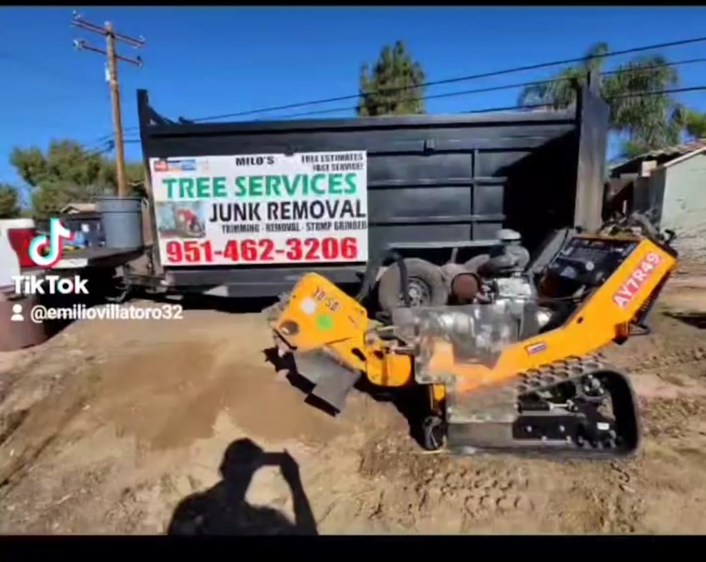 One Two Tree services | 1684 W 26th St, San Bernardino, CA 92407, USA | Phone: (951) 462-3206