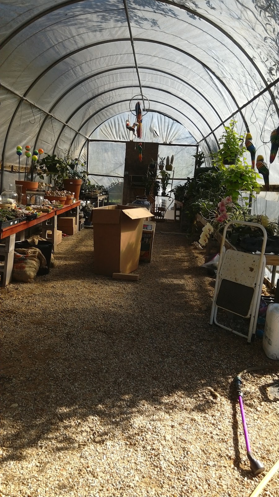 Bloomers Garden Center | 507 State Hwy 95, Elgin, TX 78621, USA | Phone: (512) 281-2020