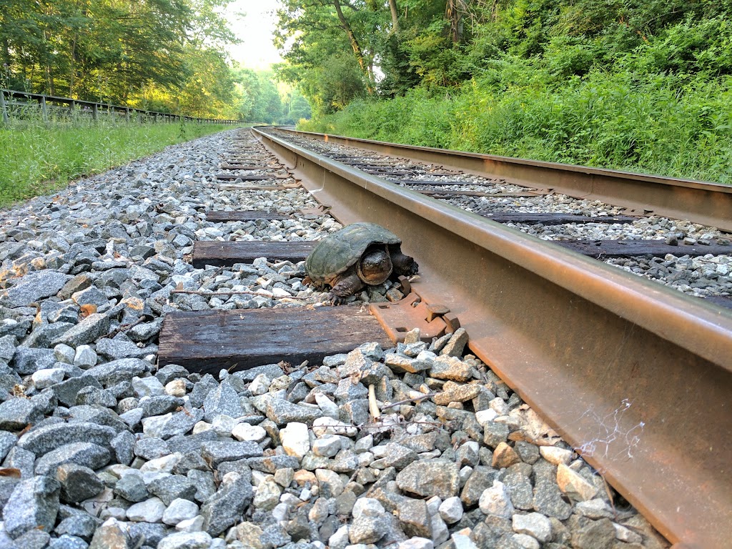 Ohio & Erie Canal Towpath Trail - Big Bend Area | 1337 Merriman Rd, Akron, OH 44313, USA | Phone: (330) 867-5511