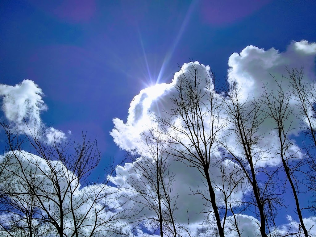 Presidents Park | 7670 Buchanan Ct, Mentor, OH 44060, USA | Phone: (440) 255-1100