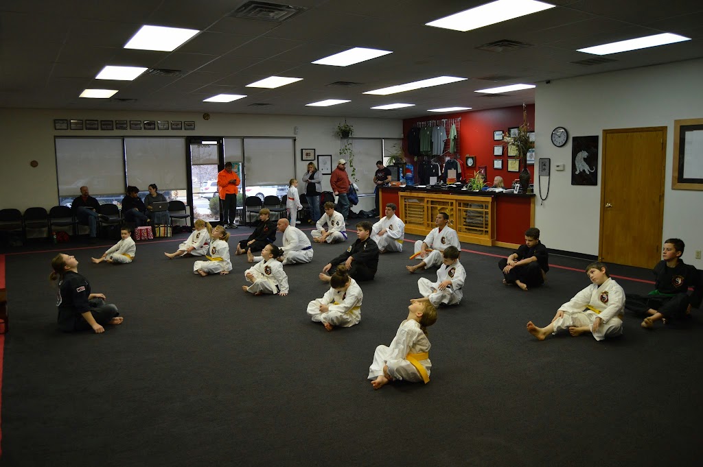 Steiner Academy Of Martial Arts | 3109 N 120th St, Omaha, NE 68164, USA | Phone: (402) 493-4733
