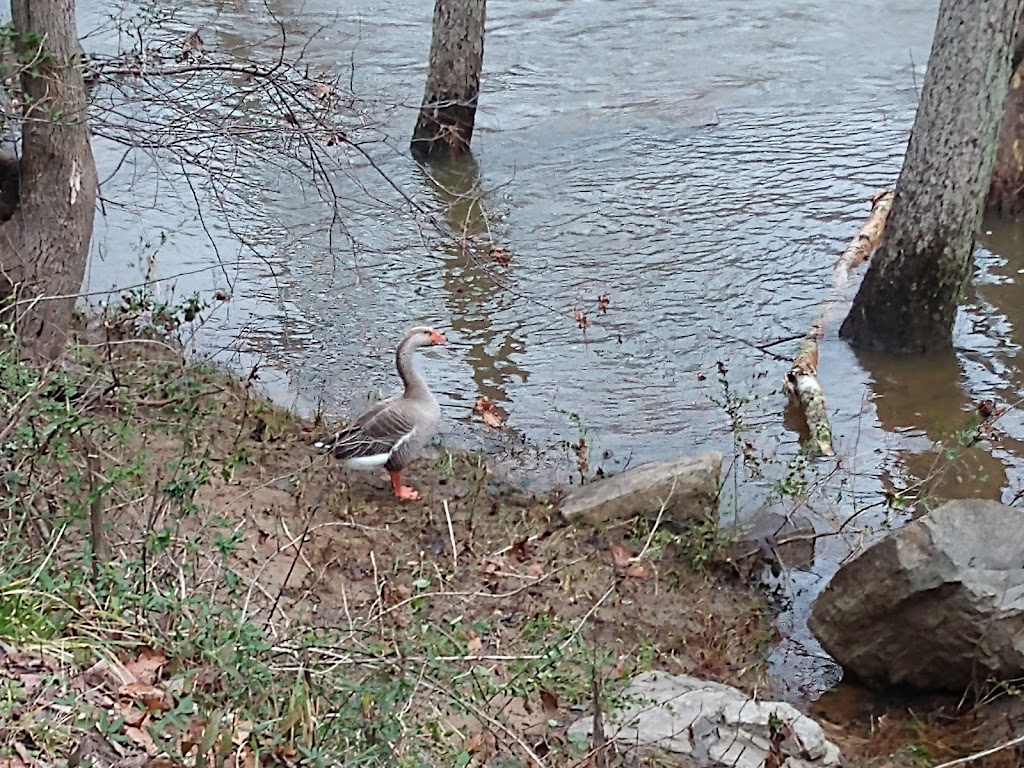 Deep River Nature Trail Randleman Parks and Recreation | Presnell St, Randleman, NC 27317 | Phone: (336) 824-2604