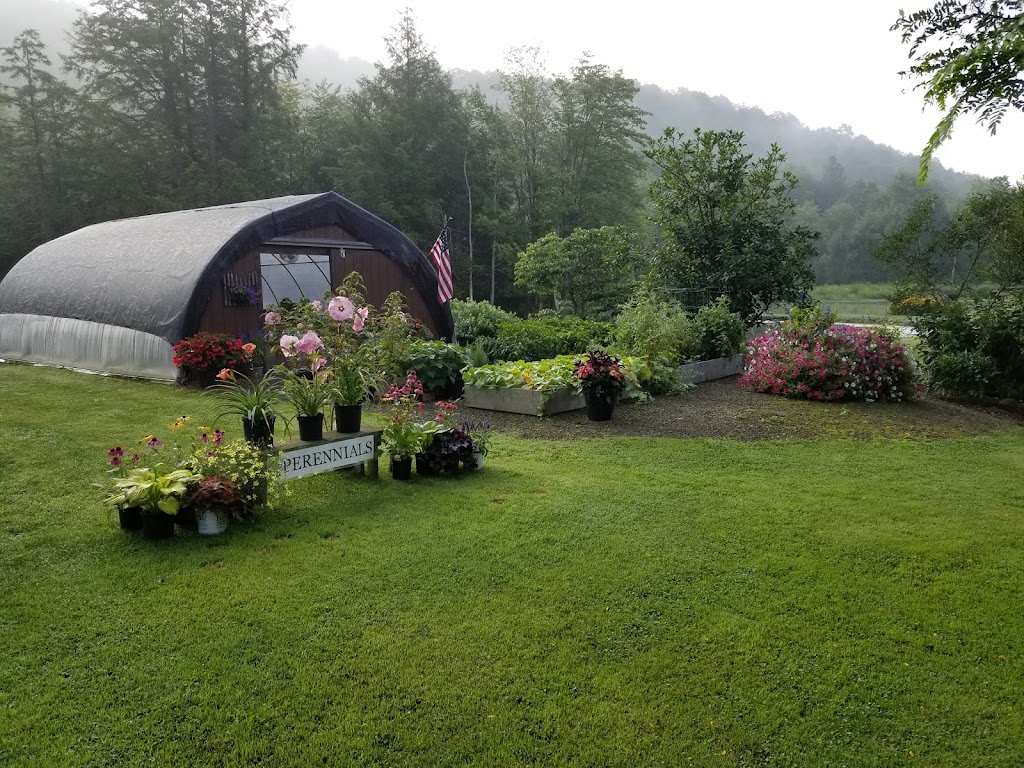 Sinn Valley Gardens | 6278 Rt. 353, 6278, NY-353, Cattaraugus, NY 14719, USA | Phone: (716) 801-2233