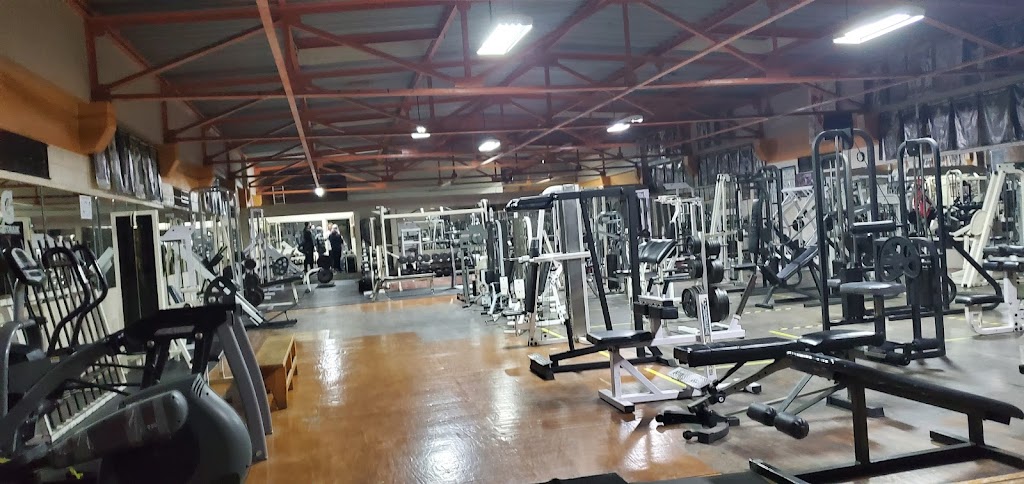 Bosco Gym | Av. Negrete 1320, Zona Centro, 22000 Tijuana, B.C., Mexico | Phone: 664 688 0139