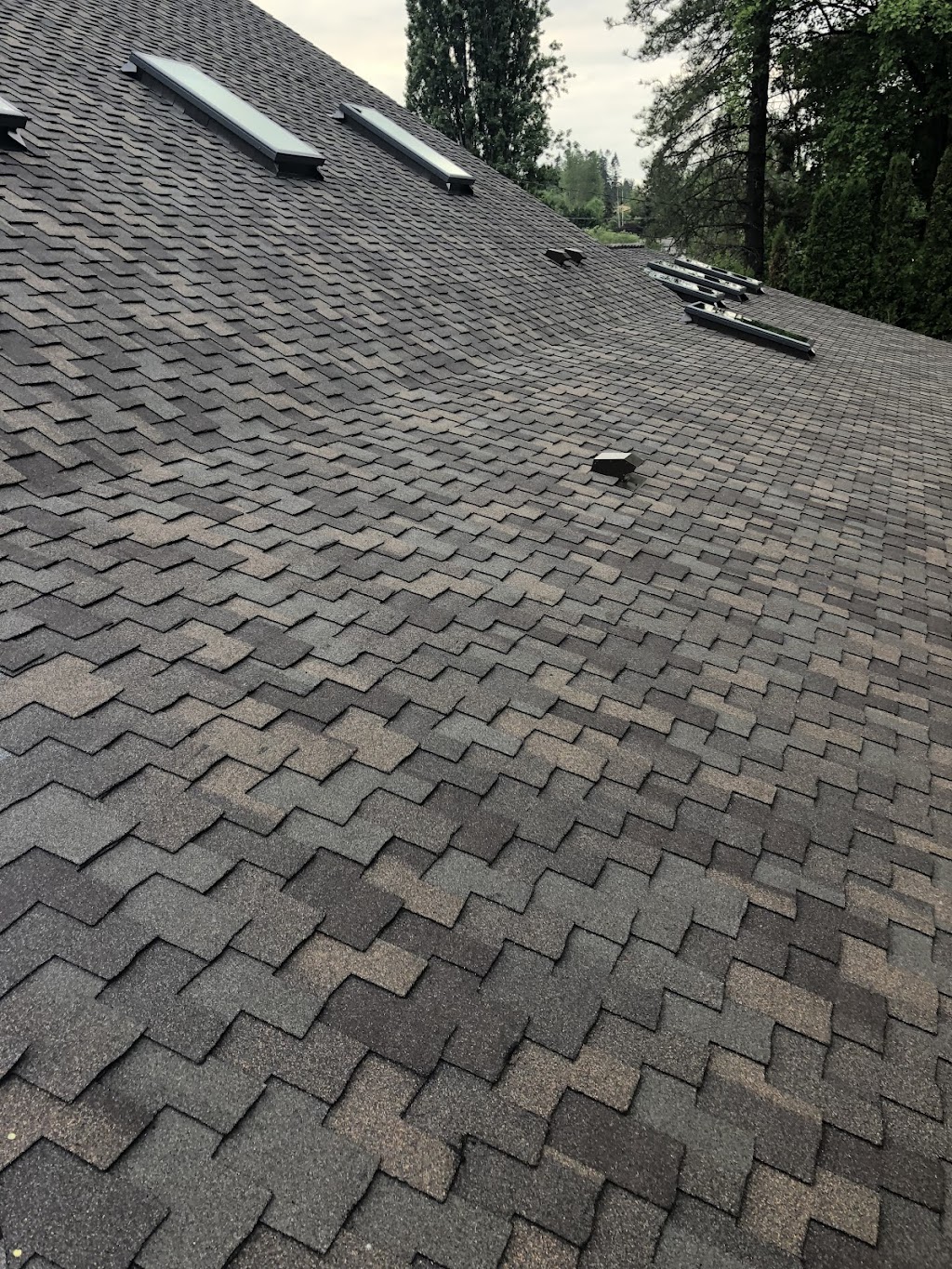 Top Notch Roofing LLC | 29032 38th Ave S, Auburn, WA 98001, USA | Phone: (206) 536-8969