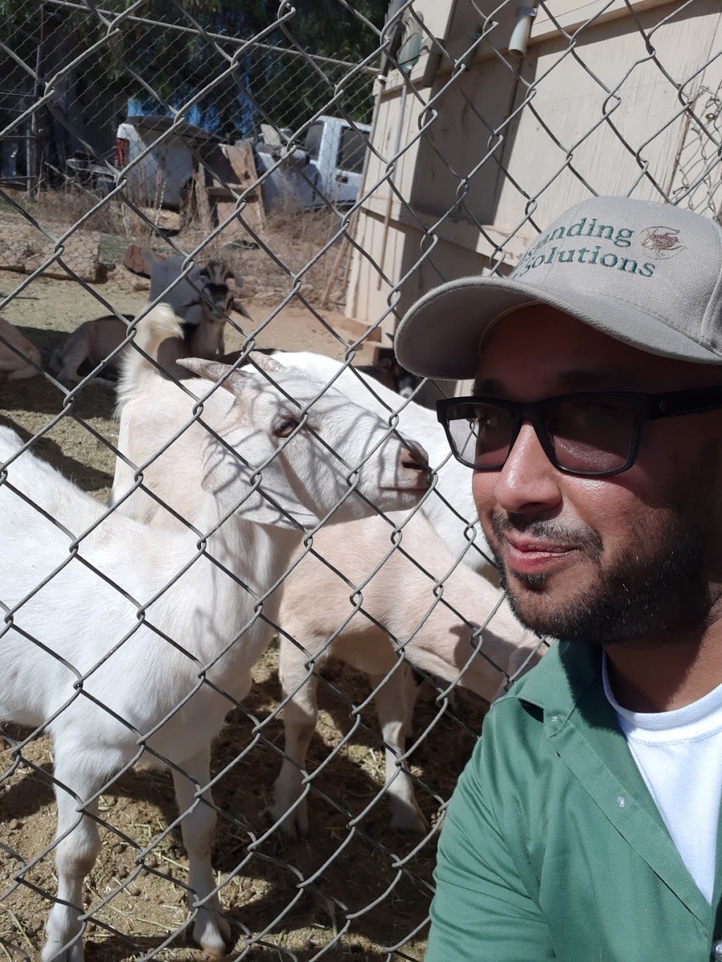 Outstanding Pest Solutions | 12631 Foxdale Dr, Moreno Valley, CA 92553, USA | Phone: (951) 476-9478