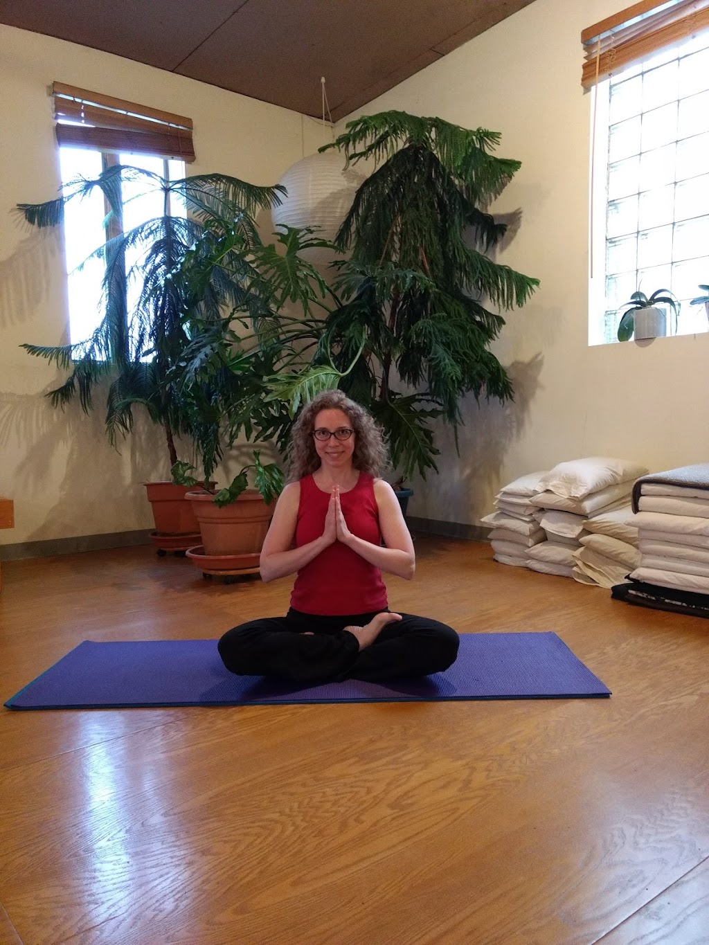 Lotus Roots Kundalini Yoga | 301 S Bedford St #219, Madison, WI 53703 | Phone: (608) 443-9677