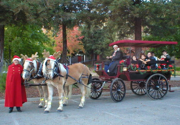 Fancy Ferriage by Horse & Carriage | 3900 Brown Rd, Oakley, CA 94561, USA | Phone: (925) 679-9412