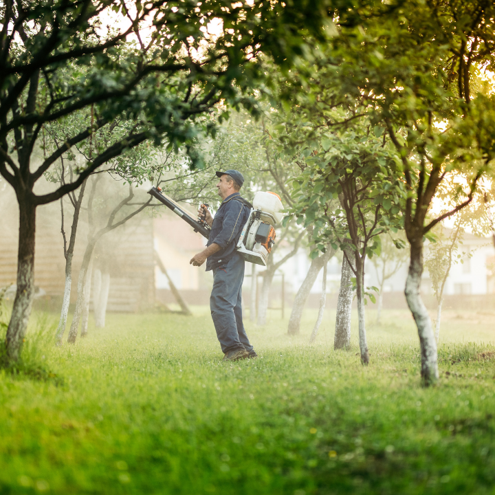 Stampede Pest Control - Leander, TX | 421 S Brook Dr, Leander, TX 78641, USA | Phone: (512) 368-8850