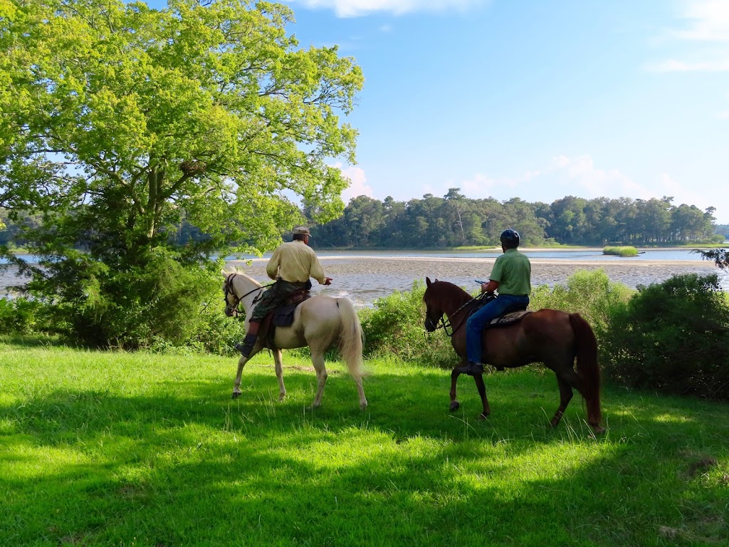 Esperanza Riding Company | 3259 Eyreville Dr, Cape Charles, VA 23310, USA | Phone: (757) 695-0550