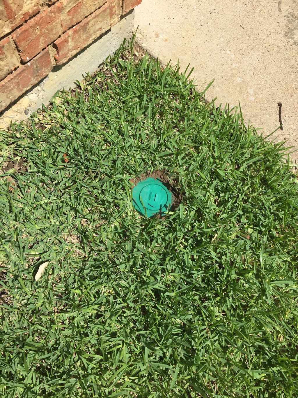 Sureguard Termite & Pest Services | 3261 FM 663 Suite D, Midlothian, TX 76065, USA | Phone: (972) 406-8600