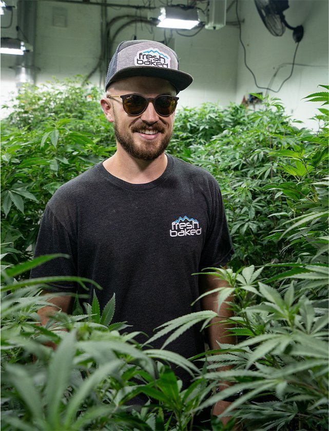 Fresh Baked Boulder Dispensary | 2535 Pearl St, Boulder, CO 80302, United States | Phone: (303) 440-9393
