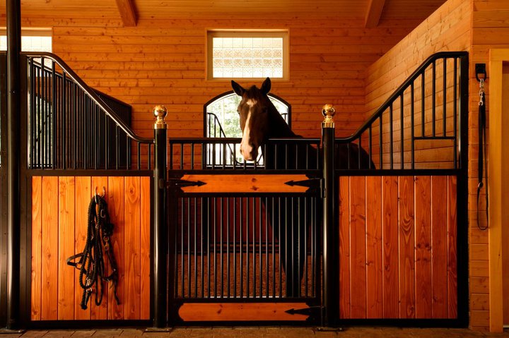 RAMM Horse Fencing & Stalls | 13150 Airport Hwy, Swanton, OH 43558 | Phone: (800) 416-1958