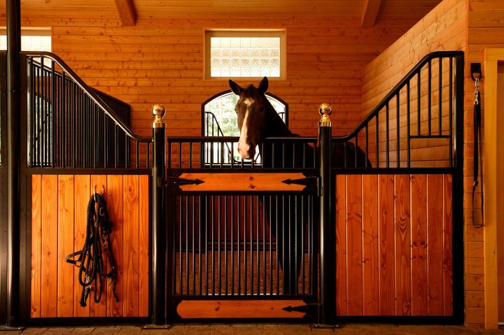 RAMM Horse Fencing & Stalls | 13150 Airport Hwy, Swanton, OH 43558, USA | Phone: (800) 416-1958