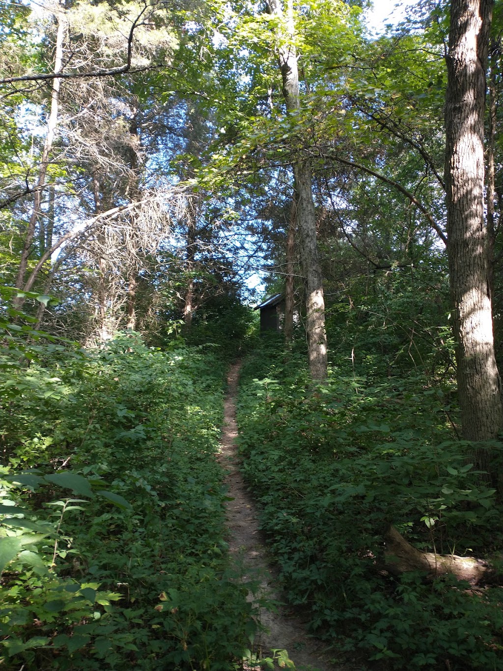 Cedar Ridge Backcountry Campsite | 7511 Creek Rd, Germantown, OH 45327, USA | Phone: (937) 277-4374