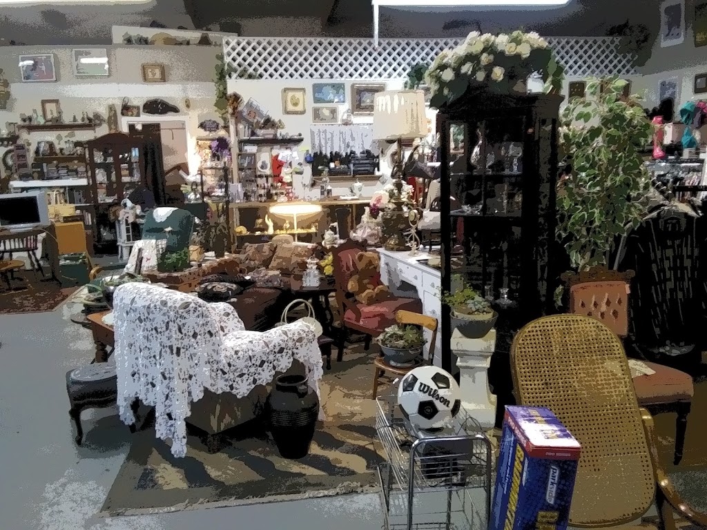 Little Mountain Mercantile | 19766 CA-88, Pine Grove, CA 95665, USA | Phone: (209) 296-4450