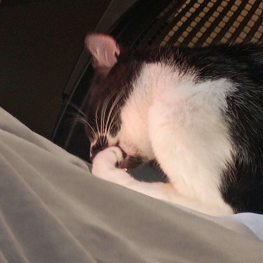 D1Creations | 531 Gulf Ave, Wilmington, CA 90744, USA | Phone: (424) 383-5500