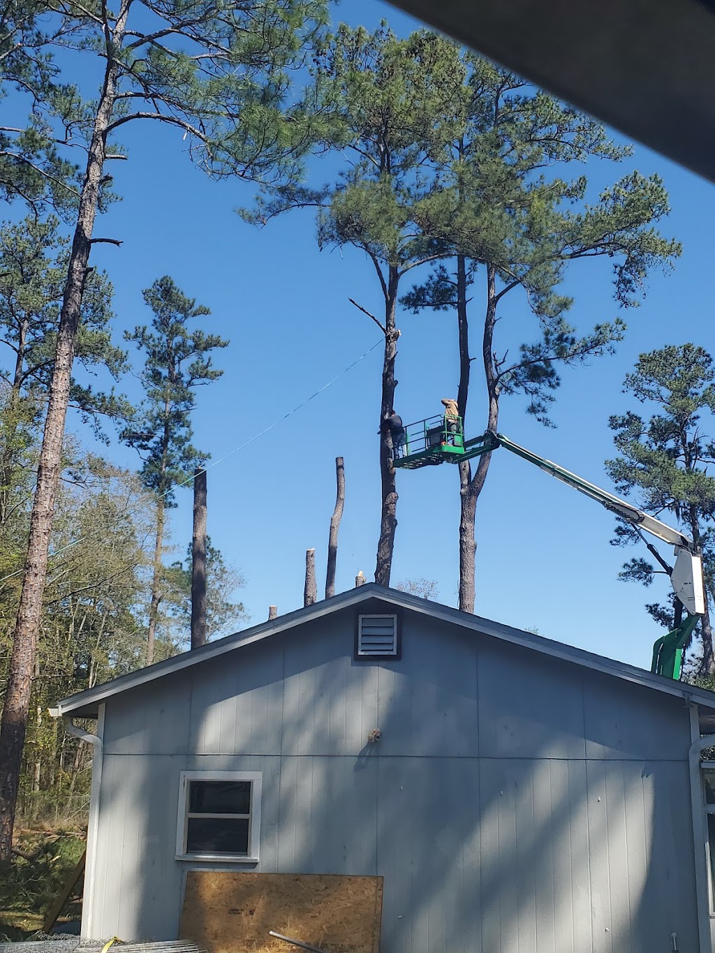 MTI tree services | 27092 Georgia St, Hilliard, FL 32046, USA | Phone: (904) 923-1048