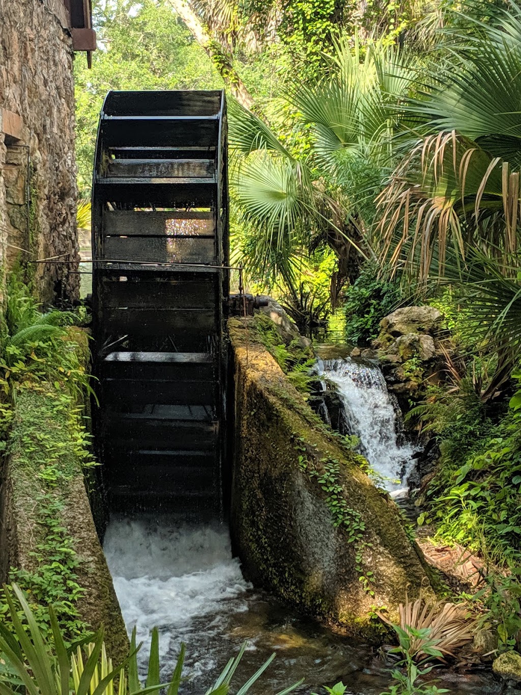 Juniper Springs Recreation Swimming Area, Marion County, FL | 26701 FL-40, Astor, FL 32102, USA | Phone: (352) 625-3147