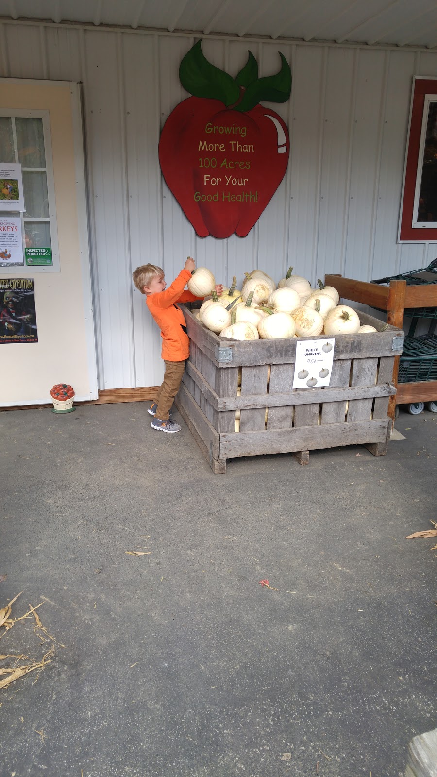 Shenot Farm & Market | 3754 Wexford Run Rd, Wexford, PA 15090, USA | Phone: (724) 935-2542