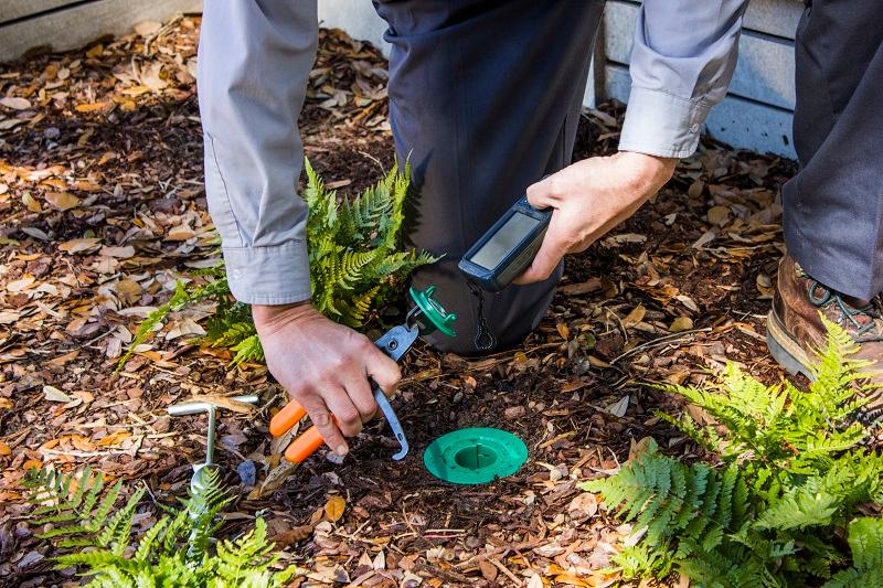 Terminix | 513 E Hebron St, Charlotte, NC 28273, USA | Phone: (704) 377-4991