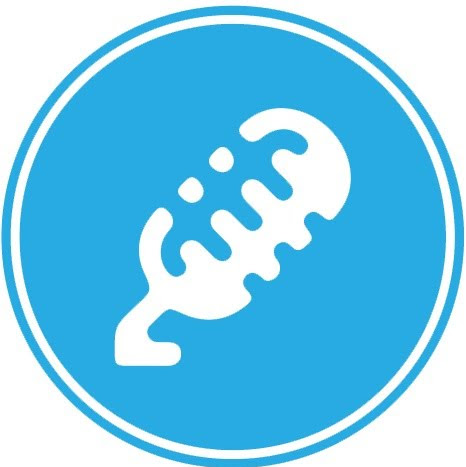 TR Music & Voice Lessons - Sunday